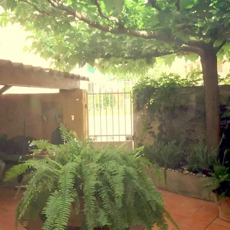Spacious House With Garden In * Ollioules