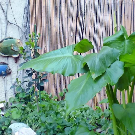 Spacious House With Garden In 度假居 奥利奥斯