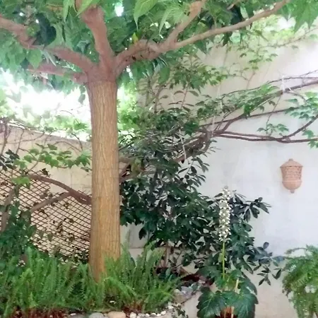 Spacious House With Garden In Hébergement de vacances *